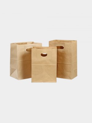 Brown Kraft Shopping Bags