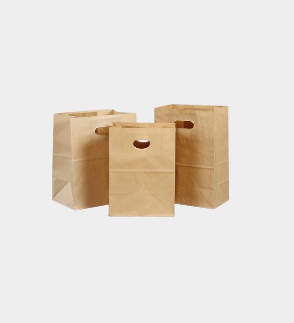 Brown Kraft Shopping Bags