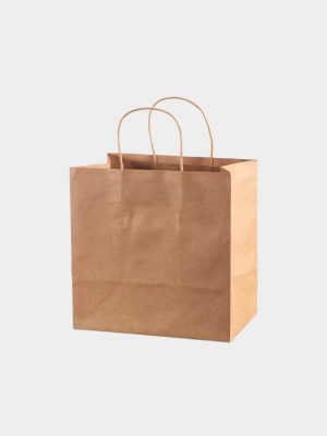 Food Takeaway Paper Bag With twist Handle