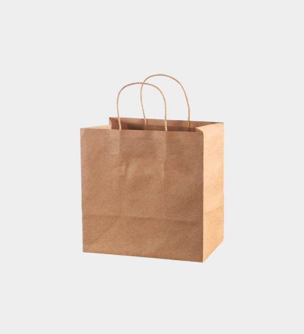 Food Takeaway Paper Bag With twist Handle