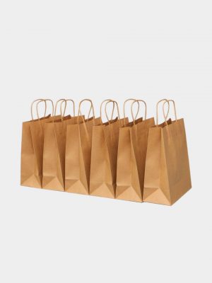 Twist Handle Paper Bag