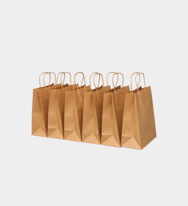 Twist Handle Paper Bag